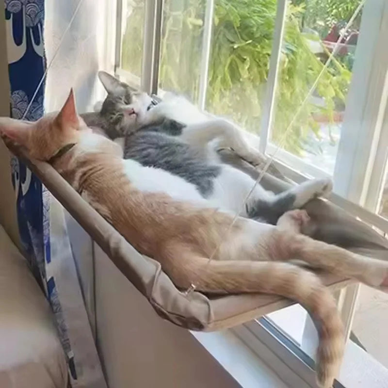 Hängande kattbädd för fönster – Katthammare med starka sugkoppar