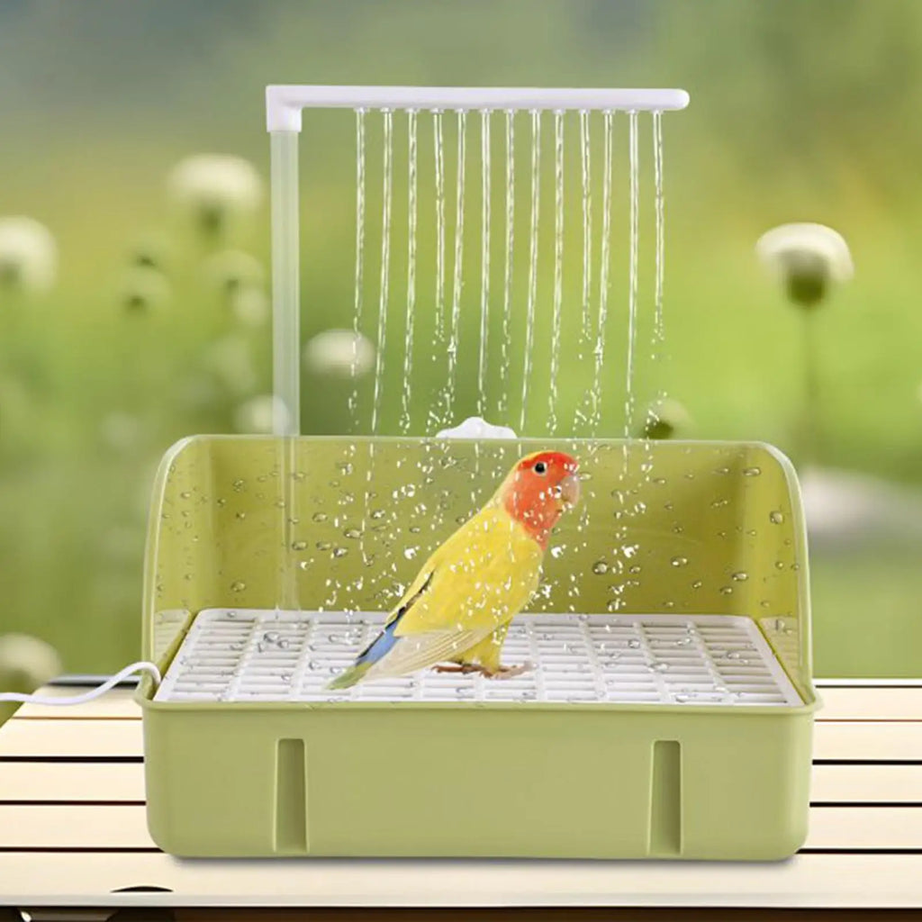 Automatiskt badset för fågel och papegoja – USB-driven springbrunn med pump