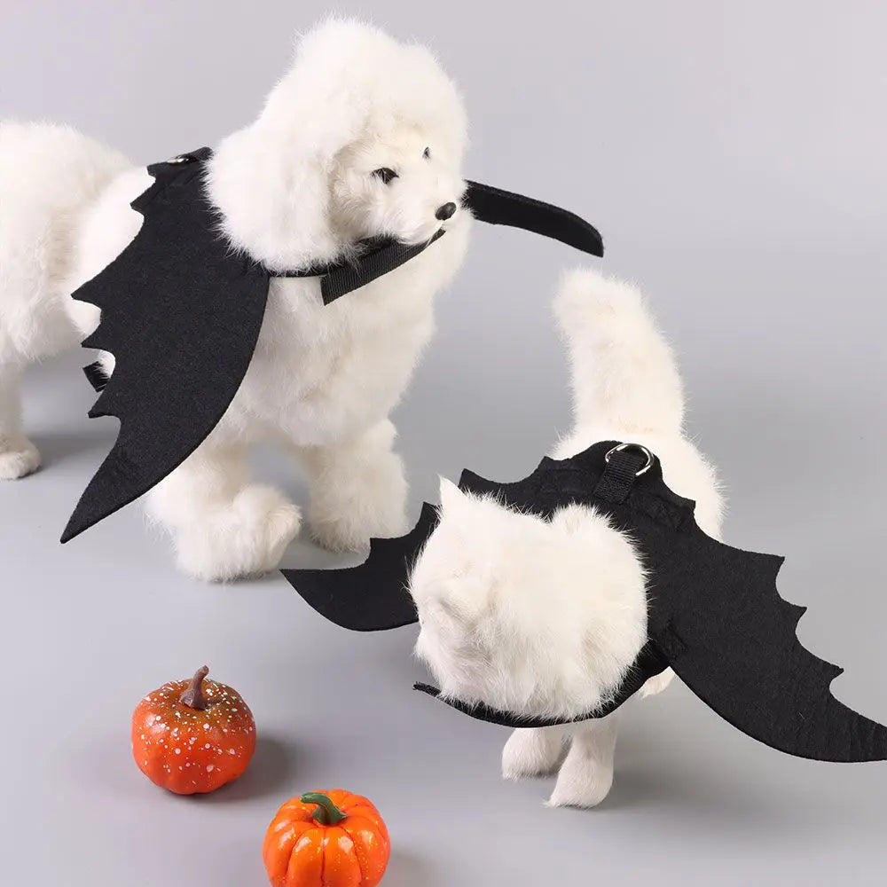 Halloween fladdermusvingar för hund och katt – Rolig cosplay-kostym med koppelhål