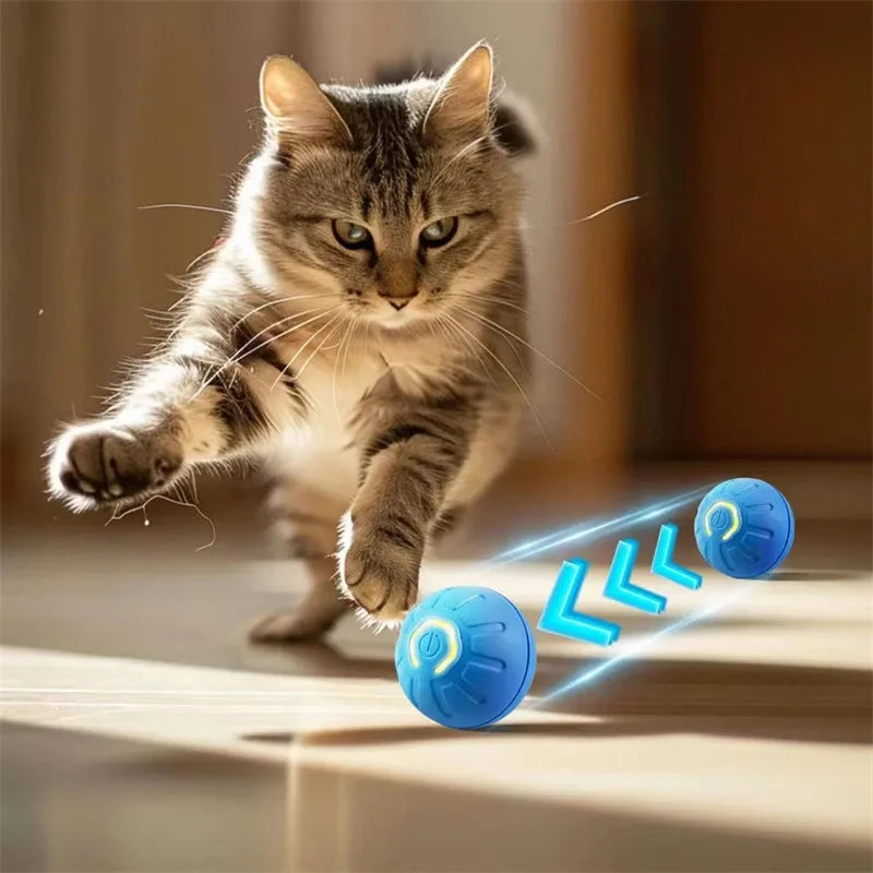 Interaktiv rörlig boll för hund och katt