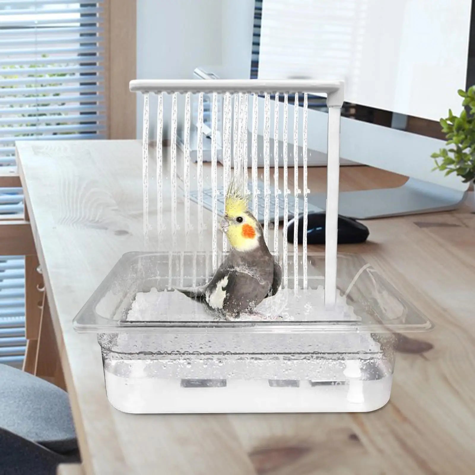 Automatiskt badset för fågel och papegoja – USB-driven springbrunn med pump