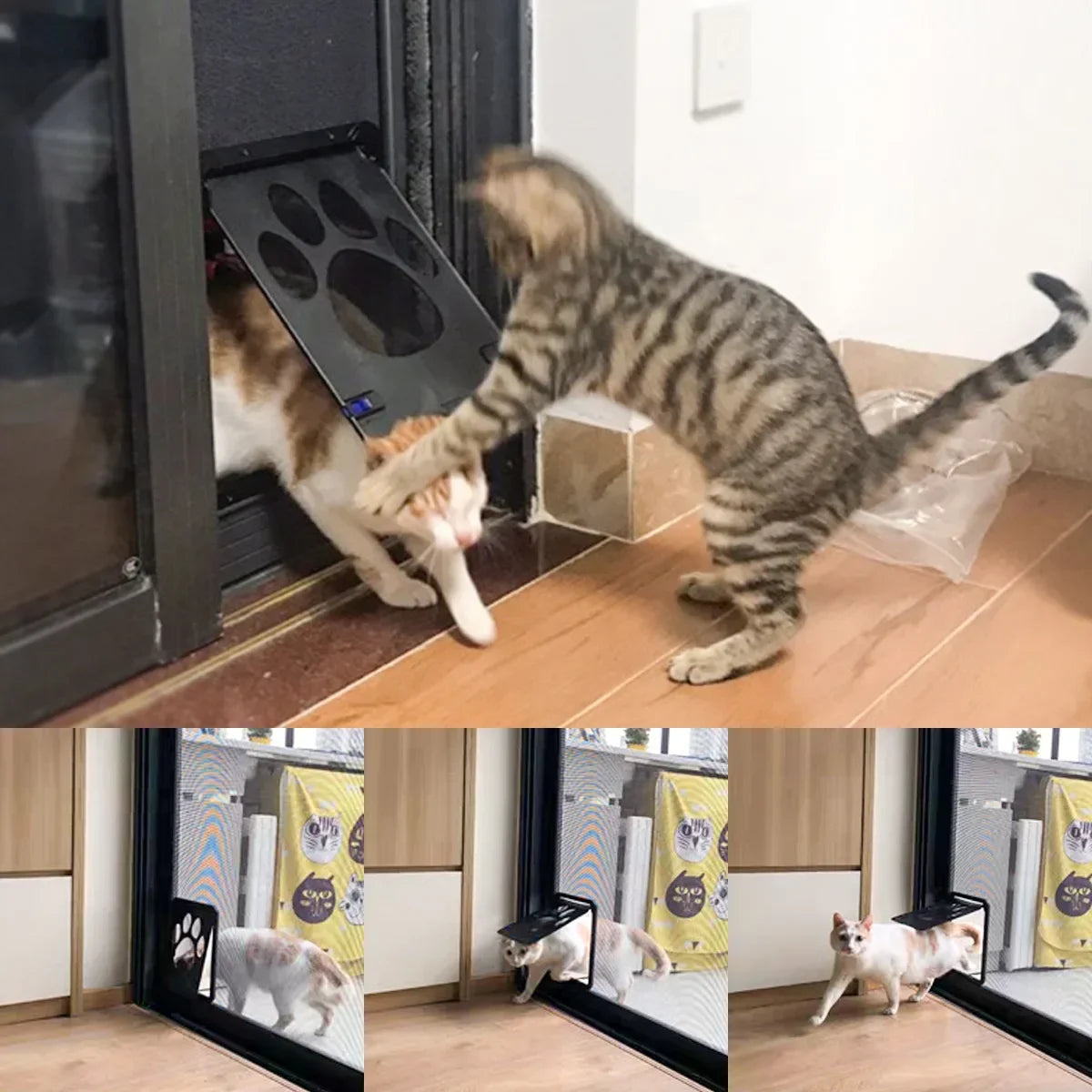 Husdjursdörr med magnetlås – Låsbar klaff för hund och katt